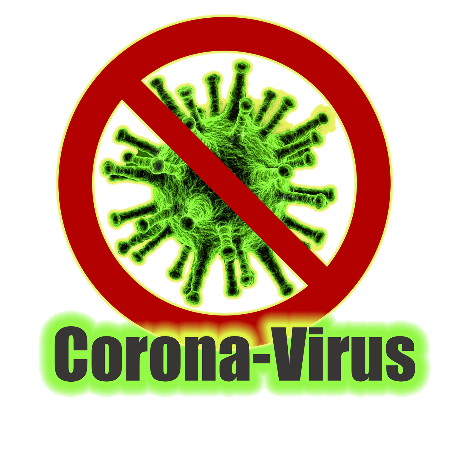 Informationen zum Corona-Virus